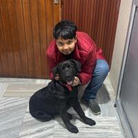 Avatar of Reyansh0108