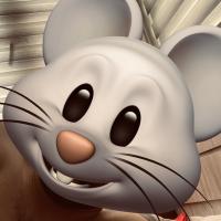 Avatar of rezasediqi