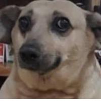 Avatar of Rafael Cont