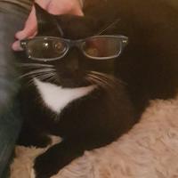 Avatar of Ryac Verstraete