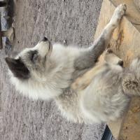 Avatar of roadto25elo