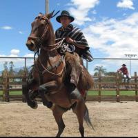 Avatar of Robertorokko