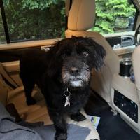 Jonathan Hrach's avatar