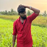 Avatar of ROCKYTIMBO