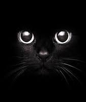 rodrigo del puerto's avatar