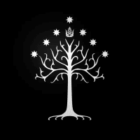 Avatar of Damian Krotov