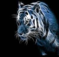 Rokas Klabis's avatar