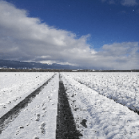 Avatar of Roberto Lopez