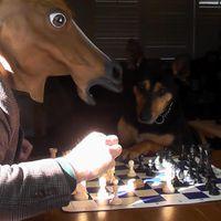 Roscoe Bullpit's avatar