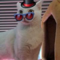 Nicholas Rosenthal's avatar