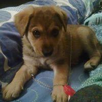 Avatar of Rubio Rubio