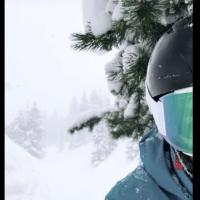 Avatar of Runnemeade