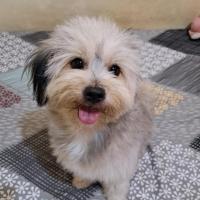 Avatar of Virgen Gil Ruaya