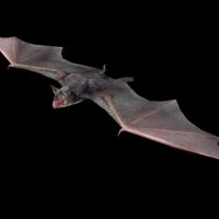 Avatar of Ивана Иванова