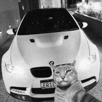 Avatar of Sina Mohammadi