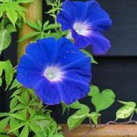 Avatar of sabore43 sabore43