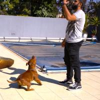 Sachin Modi's avatar