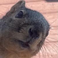 Avatar of Aleksandr Sacov