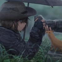 Avatar of Nikusha Mekhradze