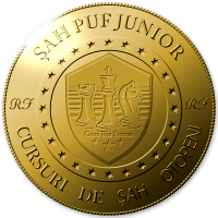 sahpufjunior's avatar