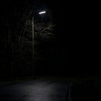 Avatar of Saif Ali Xhah