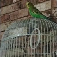 Avatar of SamiE. Kia