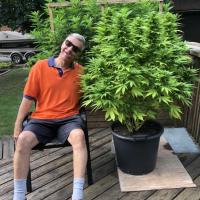 Avatar of Sam McFarlane