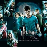 Avatar of Samtheslowrat857