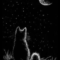 Avatar of Samugamu15