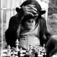 Avatar of SanDroid01