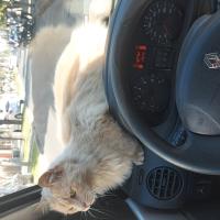 Avatar of Santiago Rodriguez