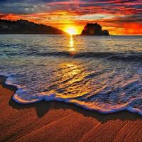 Avatar of sareh sarehh