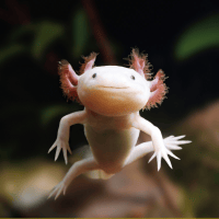 Avatar of sassywater1