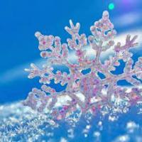 Savitha Shri B's avatar