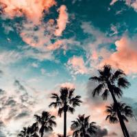 Savitha Shri B's avatar