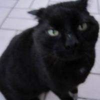 Arne Jochens's avatar