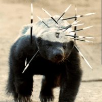 Avatar of Zac Lunsford