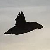 Claudius Gottstein's avatar