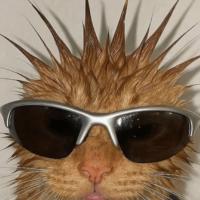 Sarocha Chuemsakul's avatar