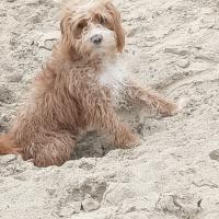 Avatar of secret_guy