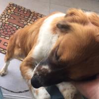 Avatar of Yoachim Low