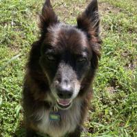 Avatar of senorelegans