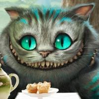 Avatar of Serega Zvonetzkiy