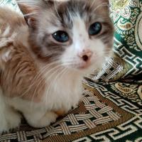 Avatar of Sergei13101982