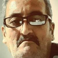 Avatar of Seyed amir Hosseini