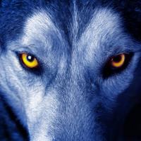 Avatar of Shamaiyah Israel