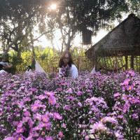 Thi Dieu Ai Vu's avatar