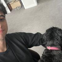 Avatar of Shawnbrain