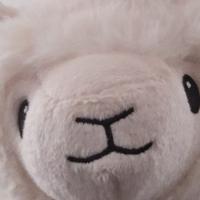 Avatar of SheeepHippo2025