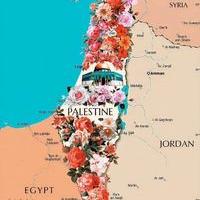 Avatar of sherifelbasuony